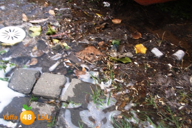 majarydakka (12).JPG